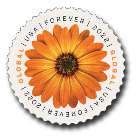 Global African Daisy International First Class Forever US Postage Stamps image 1