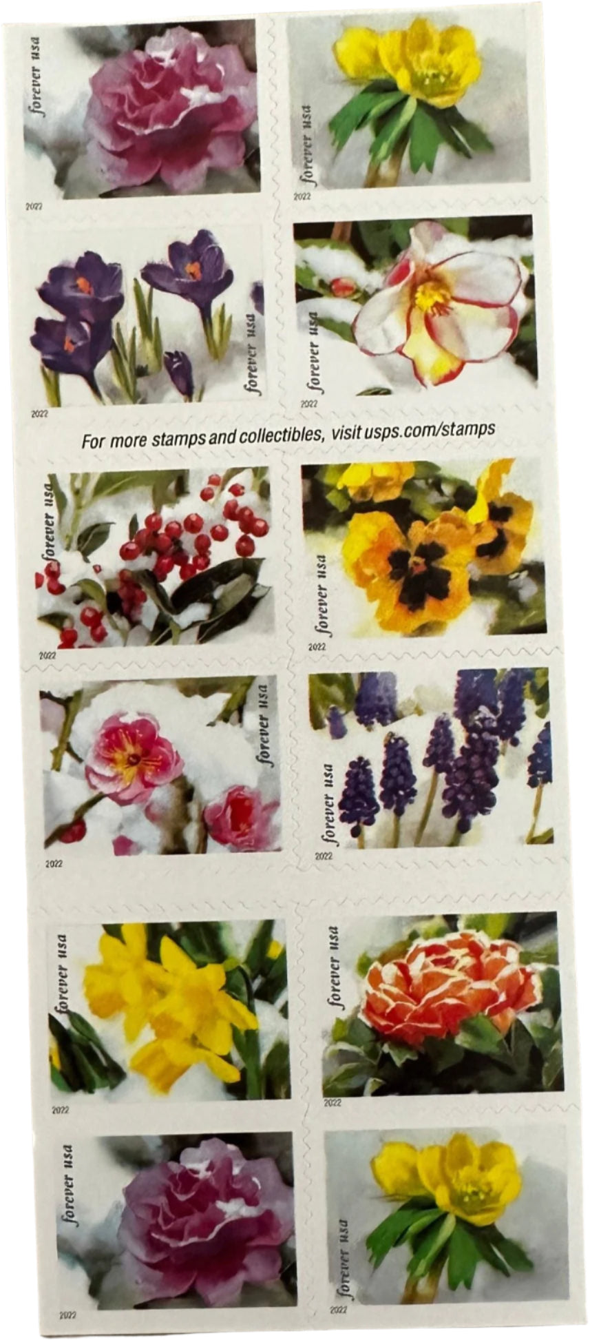 USPS Snowy Beauty Bloom Forever First Class Postage Stamps image 2
