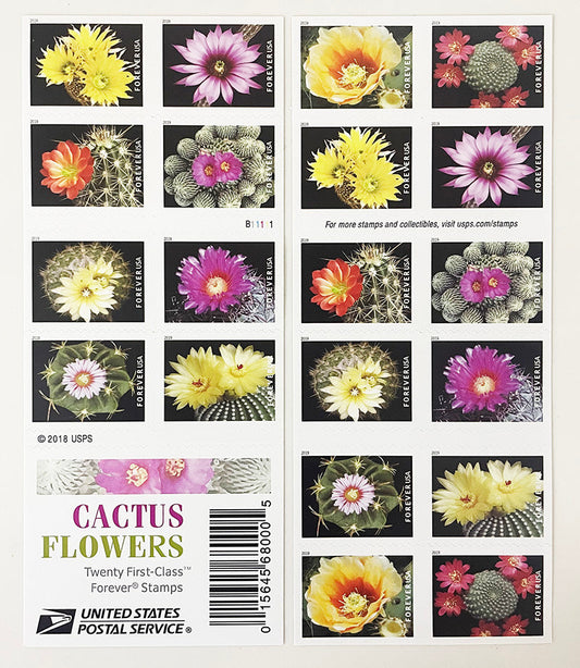 Cactus Flowers Forever First Class Postage Stamps image 0