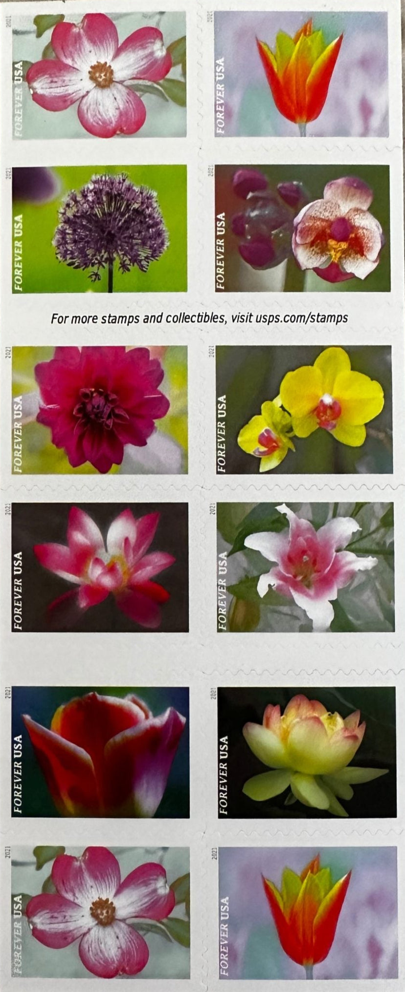 USPS Garden Beauty Forever First Class Postage Stamps image 2