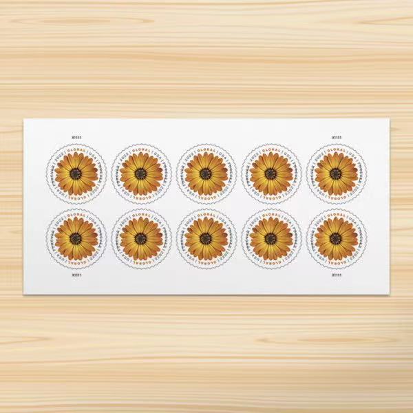 Global African Daisy International First Class Forever US Postage Stamps image 0