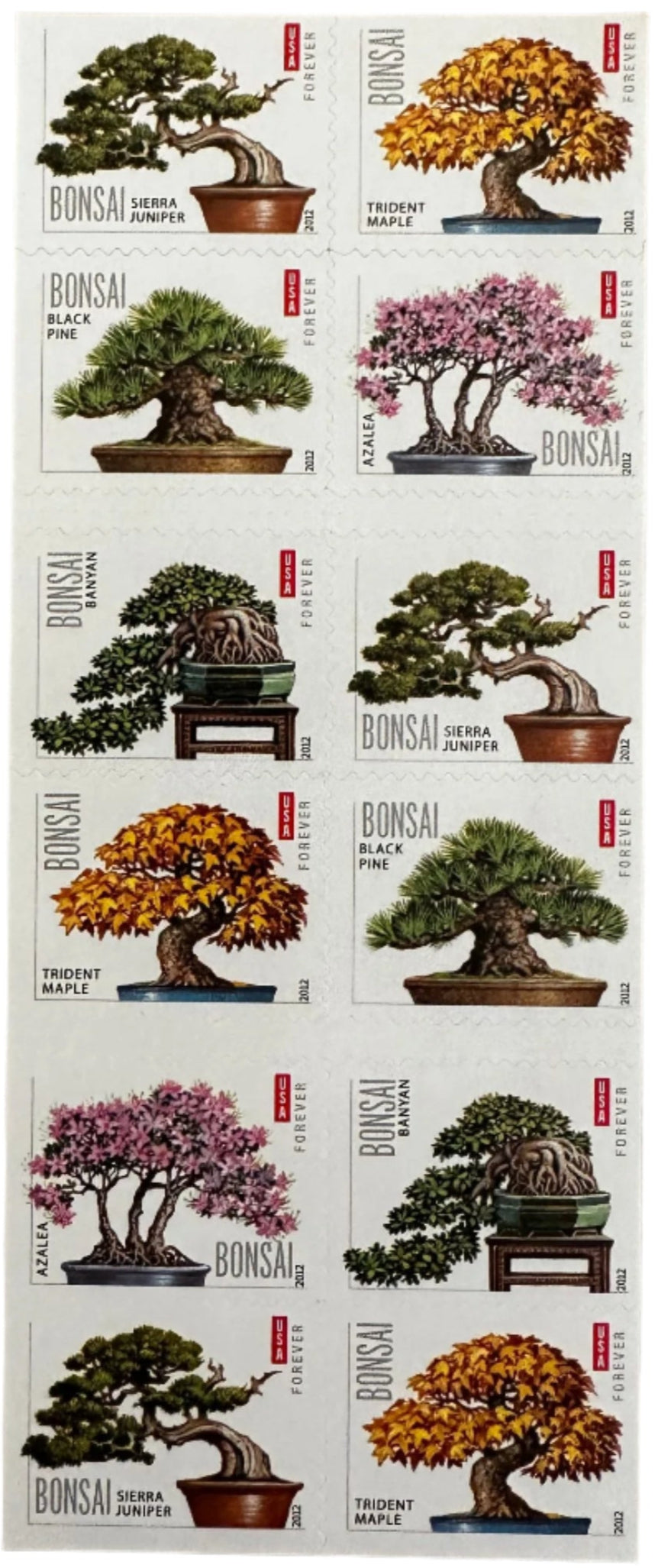 USPS Bonsai Tree Forever First Class Postage Stamps image 2